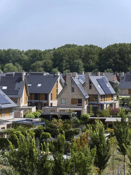 Contemporary housing development with integrated solar technology and green landscaping elements