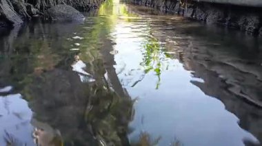 Sulama sistemi için hendekte akan temiz su