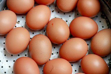 Çok sayıda taze kahverengi yumurtayı düzenli bir şekilde pişirmeye hazır bir tencereye yerleştirin. Yemek hazırlama kavramları ya da sağlıklı beslenme temaları için mükemmel..