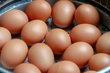 Pişirmeye ya da yemeye hazır kahverengi yumurtalarla dolu bir buharlı gemi, yemek ve yemek hazırlama görüntüleri için sağlıklı bir aperatif ya da yemek seçeneği sunar..