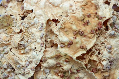 Yakın plan bir sunum, çıtır çıtır, düzensiz şekilli, görünür dokuları ve benekli fındıklı börekleri yemek blogları veya atıştırmalıklarla ilgili içerikler için mükemmeldir..