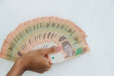 El, ekonomi veya yatırım temaları için kullanışlı boş bir yüzeye karşı bir mali nota hayranı sergiliyor.