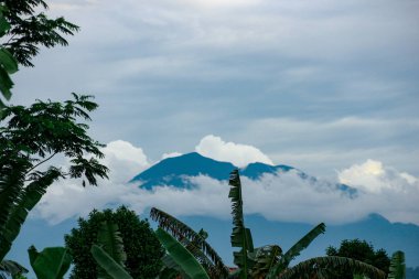 Görkemli dağ zirvesi kısmen bulutlarla kaplıdır yemyeşil tropikal yapraklar tarafından çerçevelenir ve seyahat için mükemmel manzaralar yaratır..