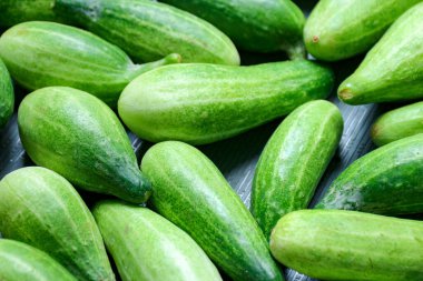 Birkaç yeşil salatalık birlikte sergilenir, taze sebzeleri sergilemek ya da soğuk bir salata ya da turşu tarifi hazırlamak için mükemmeldir..