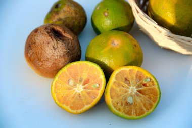 Turunçgiller grubu taze ve bozulmuş ürünler arasındaki zıtlığı gösteriyor, bazıları yiyecek atıkları ve tarım kavramları için mükemmel bir sepette..