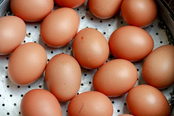 Çok sayıda taze kahverengi yumurtayı düzenli bir şekilde pişirmeye hazır bir tencereye yerleştirin. Yemek hazırlama kavramları ya da sağlıklı beslenme temaları için mükemmel..