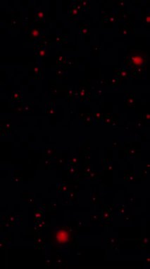 Neon Nokta şekilleri dairesel bir şekilde yüzüyor.