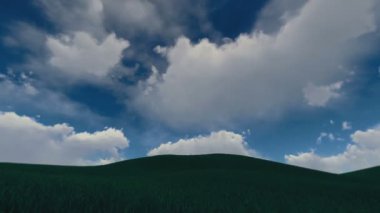 Tepede büyüyen bir ağaç