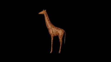 Oyuncak Zürafa Boş Tarafı Görünümü