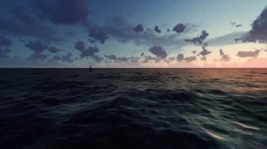 Yüzen köpekbalığı yüzgeci