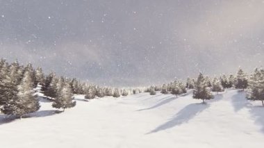 Karla kaplı orman ve kar fırtınası