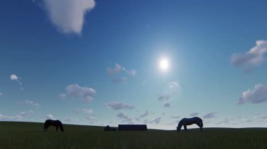 Atlar büyük bir alanda otluyor.