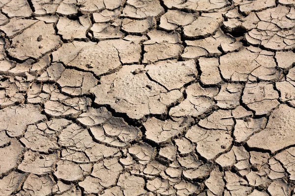Extremelly 乾燥ひび割れ土壌背景テクスチャ 気候変動 干ばつのコンセプト — ストック写真