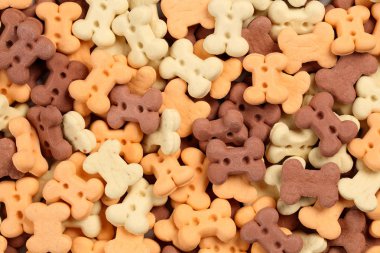 Kemiğin farklı renkleri ve flavoures tatmin edici ve küçük köpekleri ve yavru köpek eğitimi için köpek muamele etmek şeklinde kapatın. Makro gıda arka plan dokusu