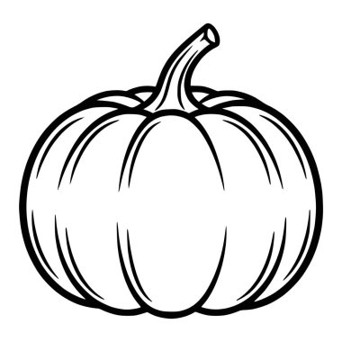 Siyah Kabak Meyve Vektörü Tasarımı