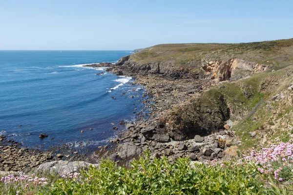 Coast Brittany Low Tide — Stock Photo, Image