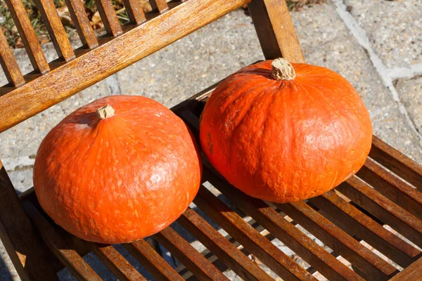 Pompoenen Een Stoel Oogst Herfst — Stockfoto