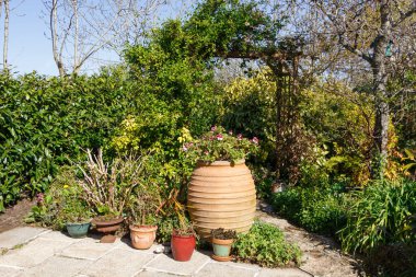Bahçe terası ve pergola