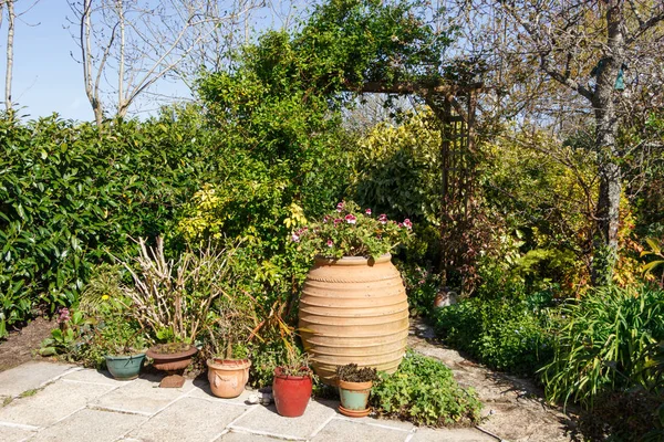 Aangelegde Tuin Met Terras Pergola — Stockfoto