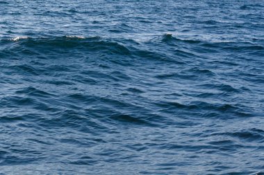 Dalgacık Brittany Atlantik Okyanusu üzerinde