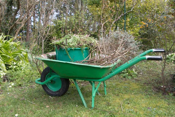 Wheelbarrow full of garden waste
