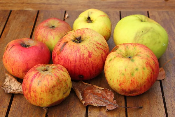 Manzanas y hojas muertas — Foto de Stock