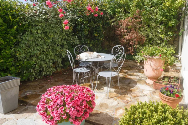 Цветочная терраса с садовой мебелью — стоковое фото