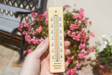 Bir bahçede termometre