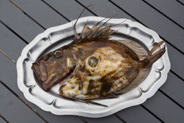 St Pierre bir pewter çanak üzerinde