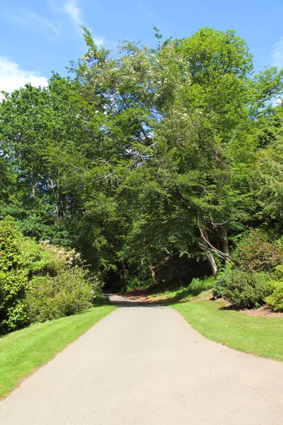 Chemin dans un parc — Photo