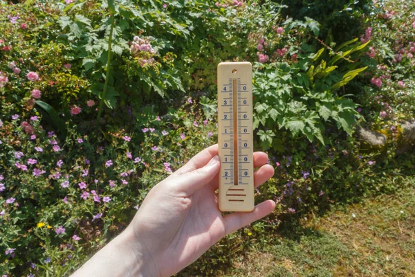 Thermometer in a garden — Stock Photo, Image