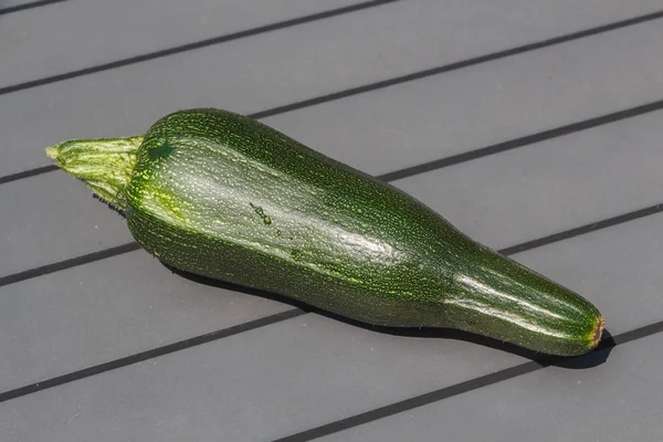Zucchini po sklizni v zeleninové zahradě — Stock fotografie