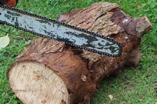 チェーンソーで木材を切断する木材ジャック — ストック写真