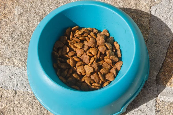 Dog food in a dog bowl — Stock Photo, Image