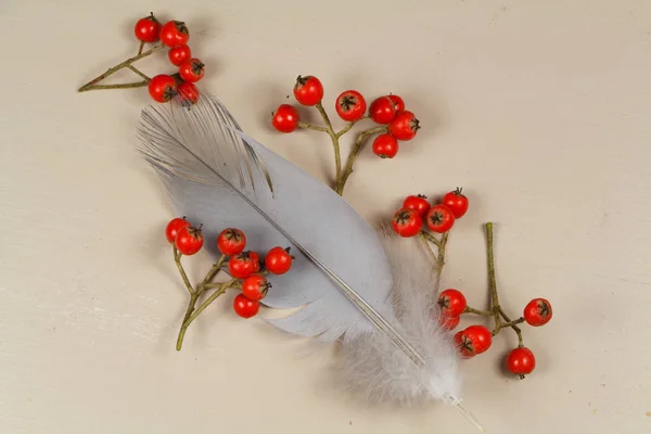 Feather and red berries