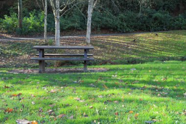 Parkta ahşap piknik masası