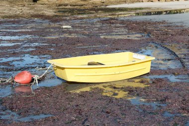 Limanda kumdaki bir tekne ihalesi