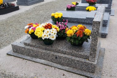 Krizantem bitkiler mezar taşları üzerinde
