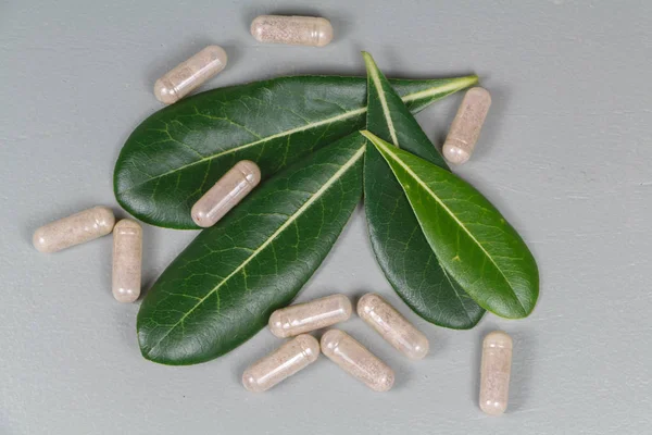 Capsules of plants extract