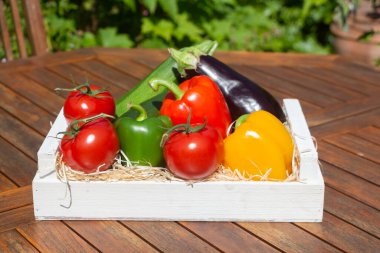 Sebze bahçesinde hasat edildikten sonra domates, kabak, biber ve patlıcan.