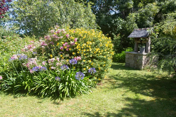Détail Jardin Paysager Avec Puits Arbres Fleurs — Photo