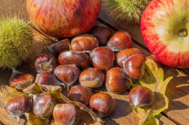 Kestaneler, kabuklar, elmalar ve meşe yaprakları Sonbahar boyunca ahşap bir masanın üzerinde
