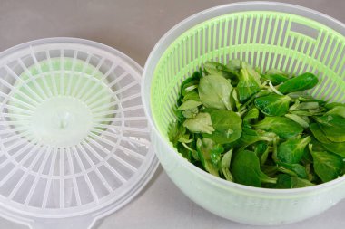 Lamb's lettuce after spinning in a salad spinner clipart