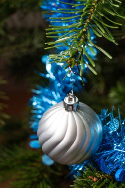 Gümüş Noel baloları, Noel ağacında mavi süsler