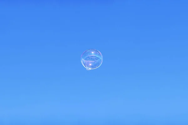 Sydney, NSW, Avustralya 'da açık mavi gökyüzünde yüzen tek bir sabun köpüğü (Fotoğraf: Tara Chand Malhotra)