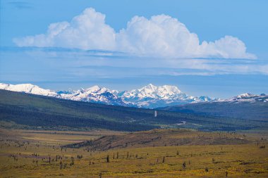 The vast, remote landscape of Denali National Park unfolds under a serene sky, showcasing snow-capped mountains and rolling tundra.
