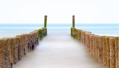 Denizde ahşap direklerin doğal görünümünü