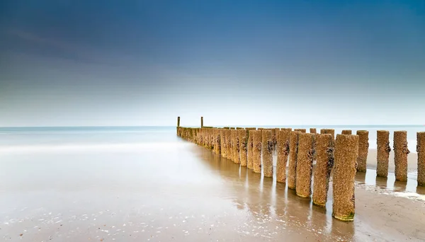 Живописный Вид Деревянных Столбов Море — стоковое фото