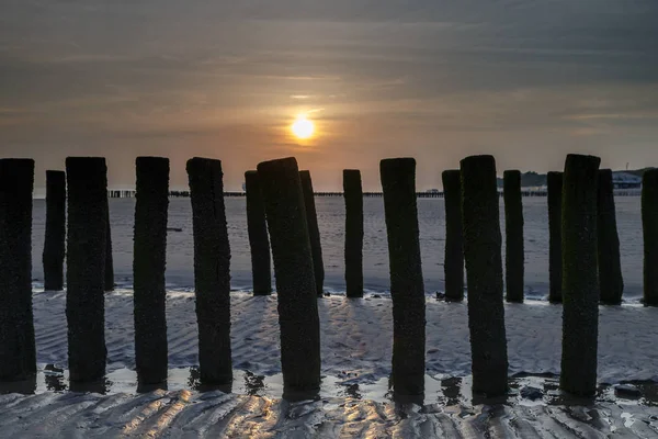 Ξύλινων Στύλων Στη Θάλασσα Και Ένα Ηλιοβασίλεμα Στην Ολλανδική Ακτή — Φωτογραφία Αρχείου