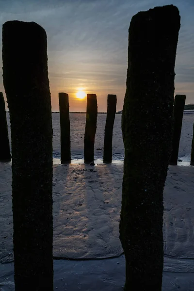 Wooden Poles Sea Beautiful Sunset Dutch Coast — Stock Photo, Image